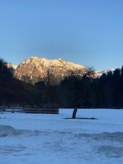Gruenes Stueble Allgaeuer Alpen Sonthofen Exteriör bild